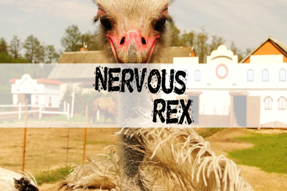 Nervous Rex: A Bold Display Typeface for Creative Projects